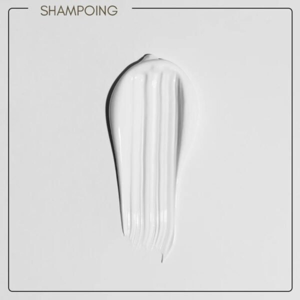 Imphair - Trio Ricin & Protéine de Soie sans Sulfates et sans Paraben